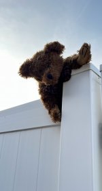 IMG_5558.jpeg