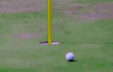 DD56335C-864F-4123-BFC2-98A70B7D7E34.gif