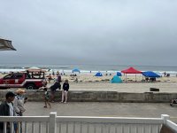 IMG_2125.jpeg