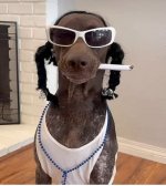 IMG_1065.jpeg