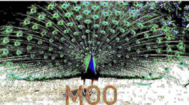 Moo Peacock.png