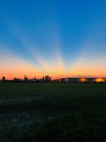 IMG_3456.jpeg