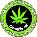 cannabis_cures_cancer_google_it.jpg
