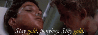 stay-gold-ponyboy.gif