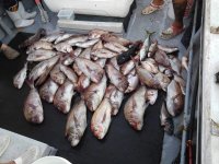 IMG_1612.jpeg