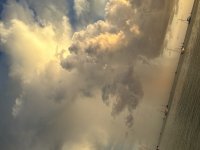 71271370657__AACABC6D-4AD2-4844-9C01-6FCE74A46D39.jpeg