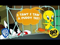 IMG_0038.jpeg