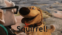 IMG_0377.gif