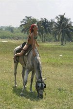 IMG_0610.jpeg