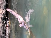 IMG_0529.jpeg