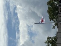 IMG_8181.jpeg
