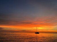 IMG_1752.jpeg