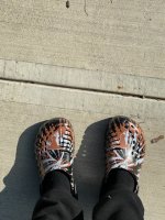 IMG_4626.jpeg