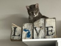 IMG_3859.jpeg