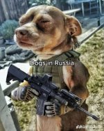 IMG_7615.jpeg