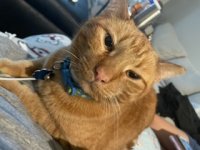 IMG_8044.jpeg