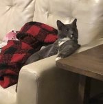 IMG_2700.jpeg