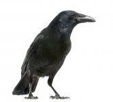 IMG_0758.jpeg