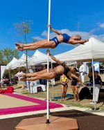 double pole.jpg