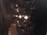 IMG_2028.jpeg