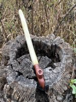peace pipe.jpg