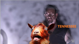 screenshot (11).png