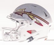 white helmet-gar+gold spear.jpg