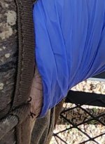 IMG_5551.jpeg