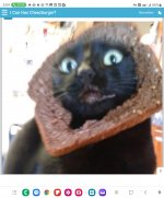 Screenshot_20231022_170423_Chrome(1).jpg