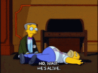IMG_5802.gif