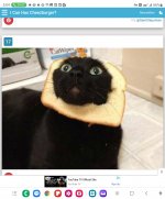 Screenshot_20231022_170450_Chrome.jpg