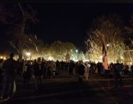 IMG_3527.jpeg