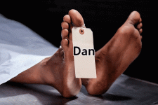 dan.gif