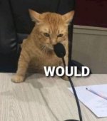 IMG_8774.jpeg