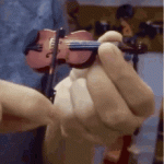 bd8.gif