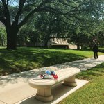 dad's bench.jpg