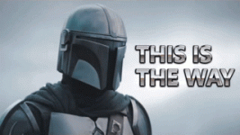 IMG_7164.gif