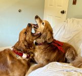 IMG_0027.jpeg