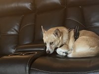 IMG_0019.jpeg