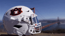 200 (2).gif