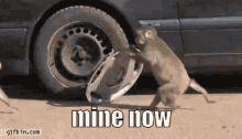 mine-now-steal.gif