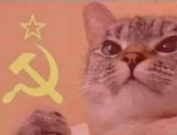 communism_cat.png