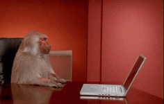 monkey pushing away computer.gif