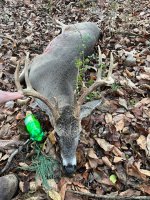 IMG_1420.jpeg