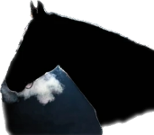1703887854147.png