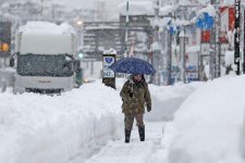 urnpublicidap.org71a8606d59c2ffbc5840e6e474a88196Japan_Snow_41138.jpg