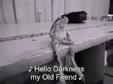 1705384827755.gif