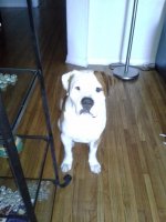 IMG_0377.jpeg