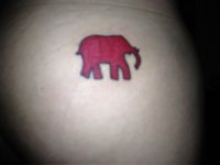 IMG_0879.jpeg