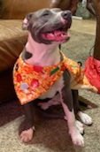 20240110_233439.jpg